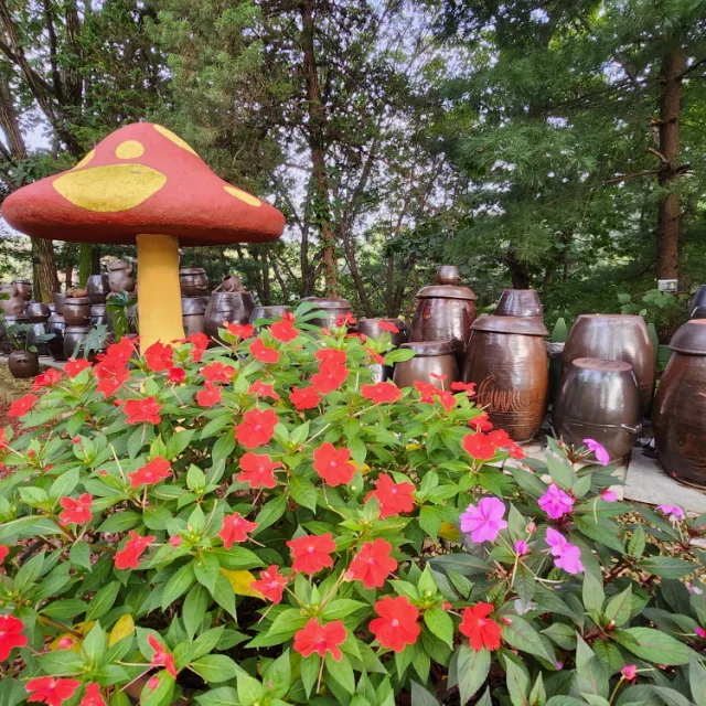 한빛