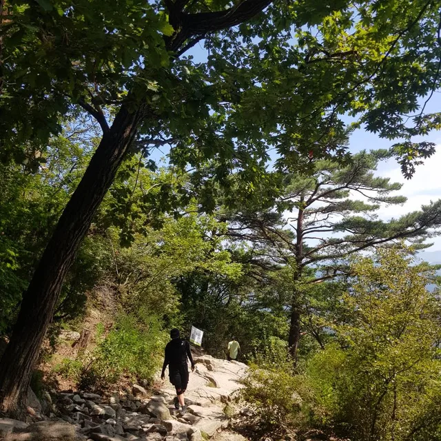 개리