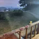이랴이자