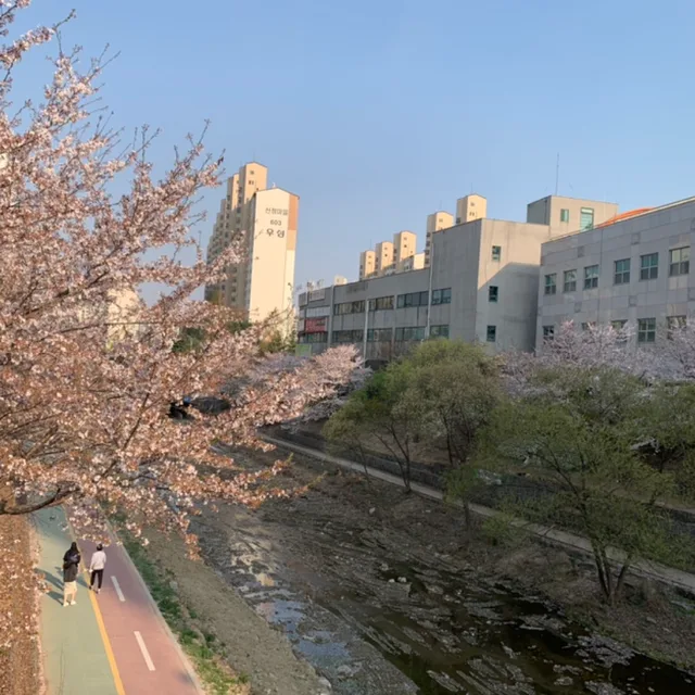 통통이맘