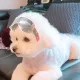 김홍배