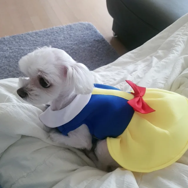 찬란히