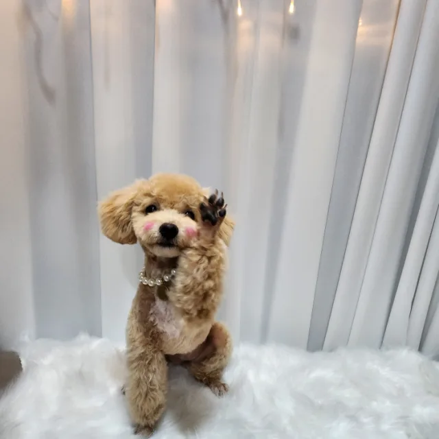 봉봉