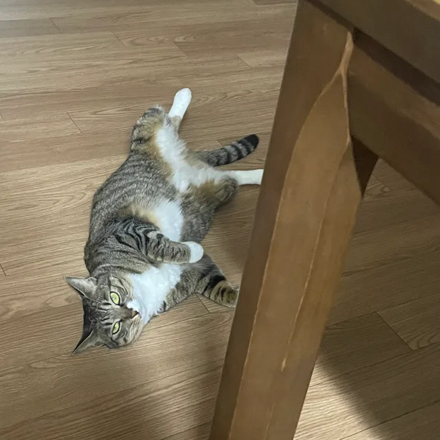 후추엄마