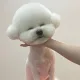 택이에오