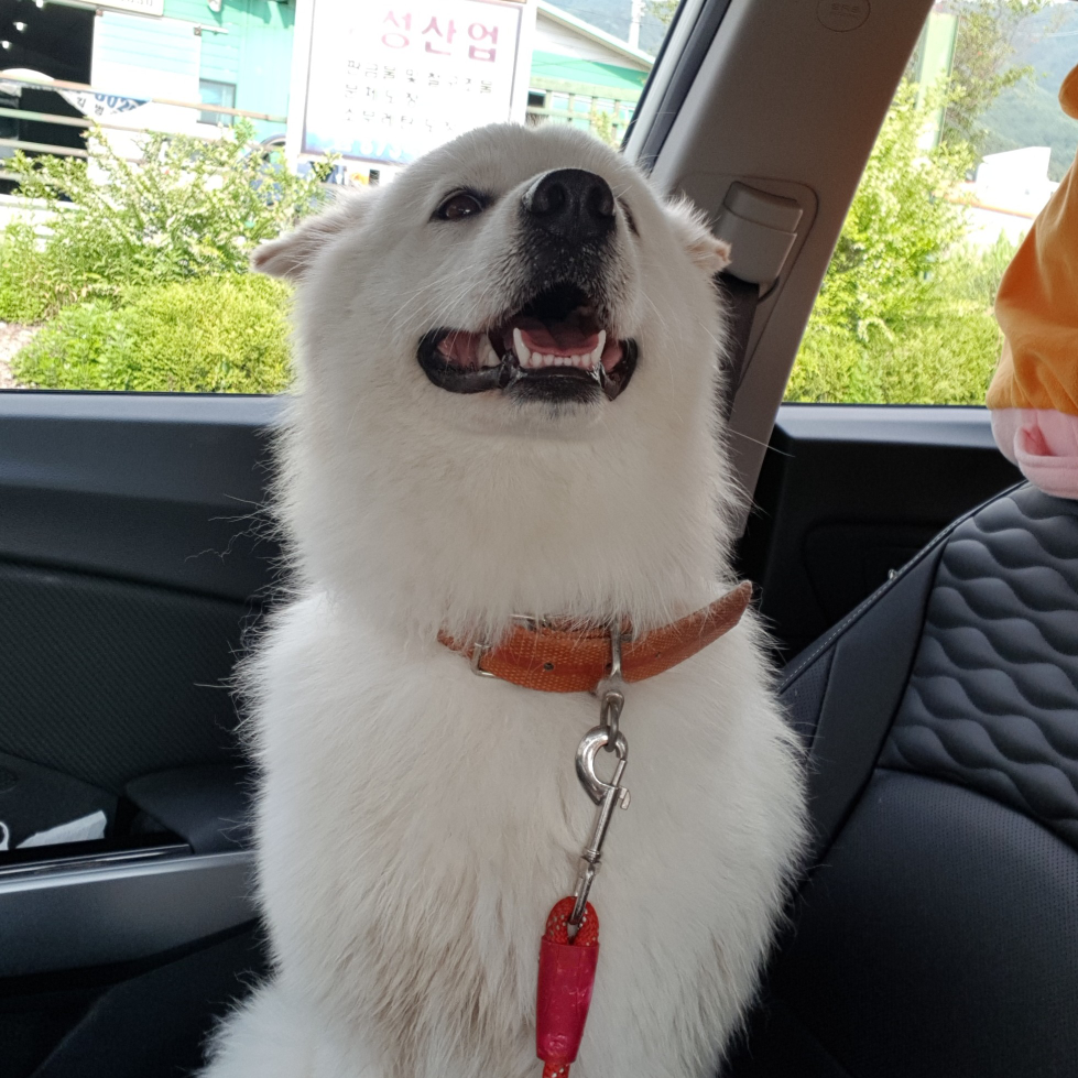 뽀용뽀용