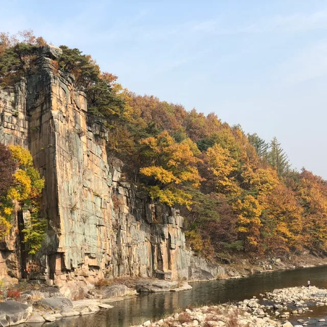 당근당근