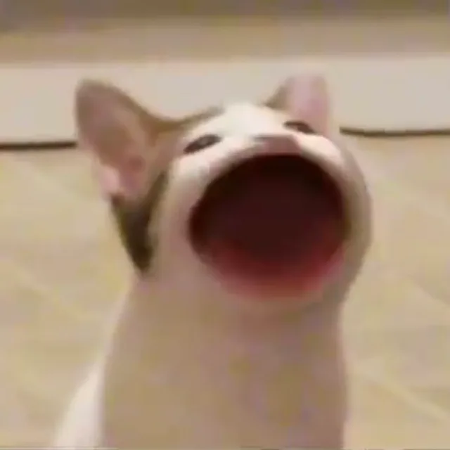 당근넴