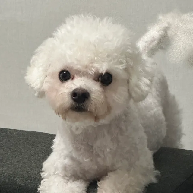 두부야