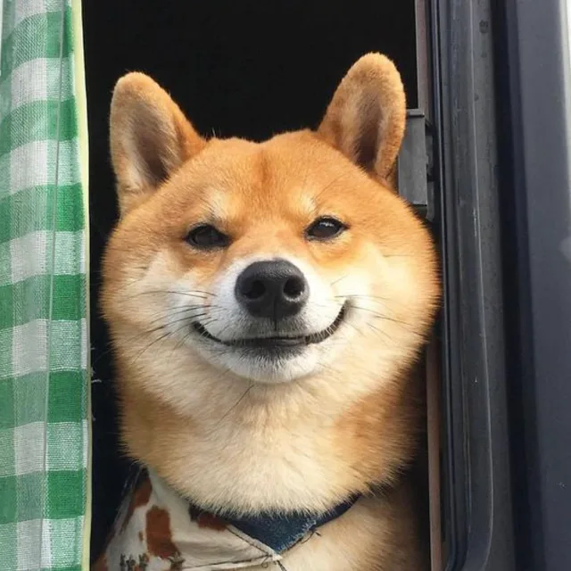 당근당근나의당근