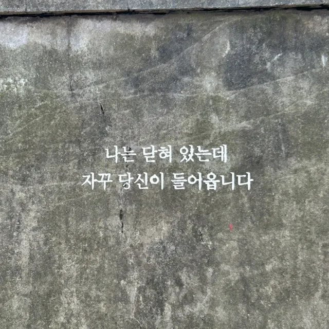 무양동지키미