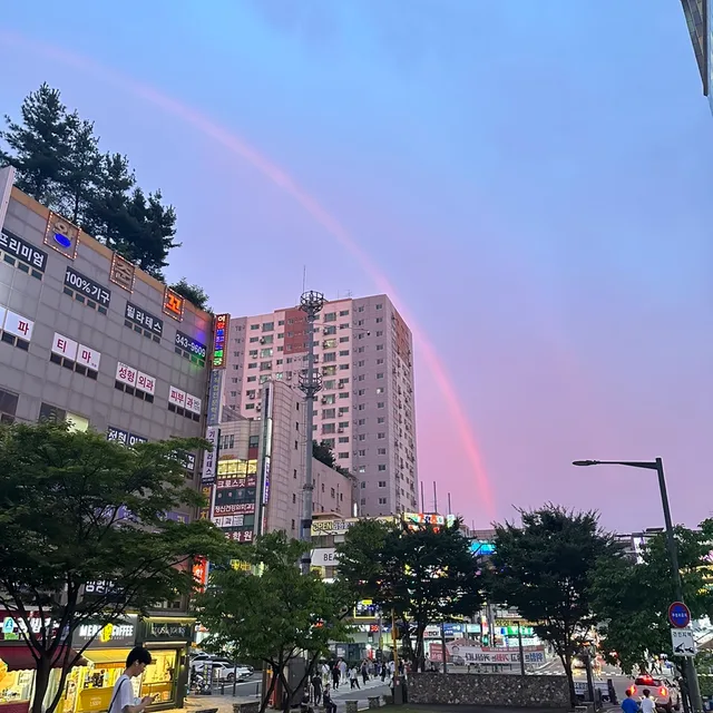 선꿍지꿍