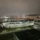 당근이지