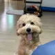 뽀식네