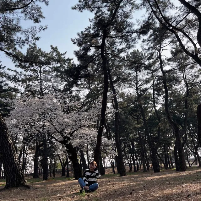 퓨퓨