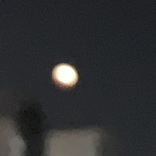열네번째달