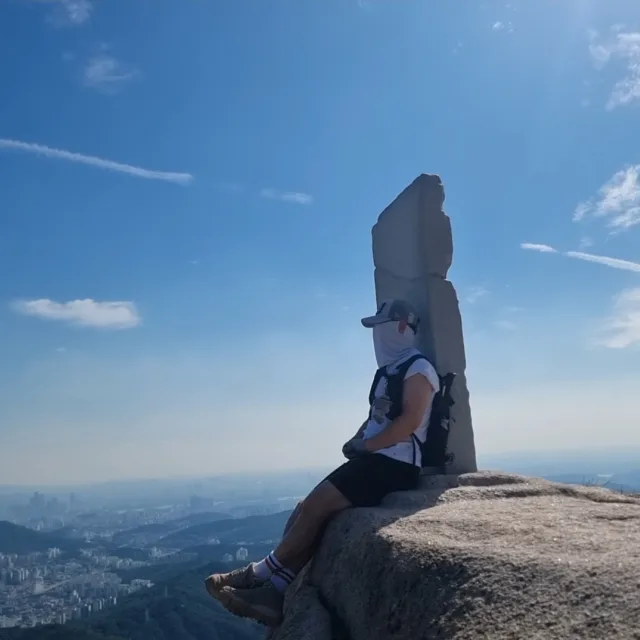 아라동날개