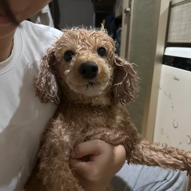병철
