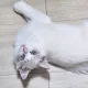 뚜둥