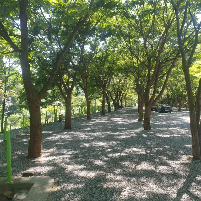 인천물