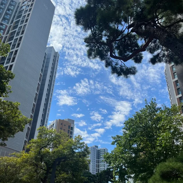 우보기
