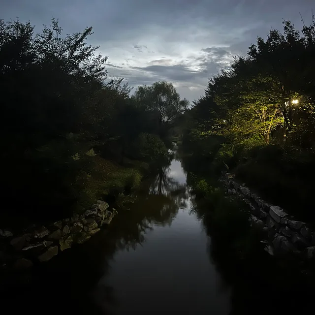 하하하
