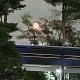 반월줌마
