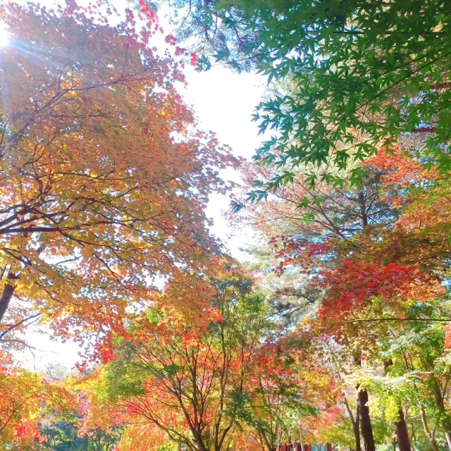 깻잎