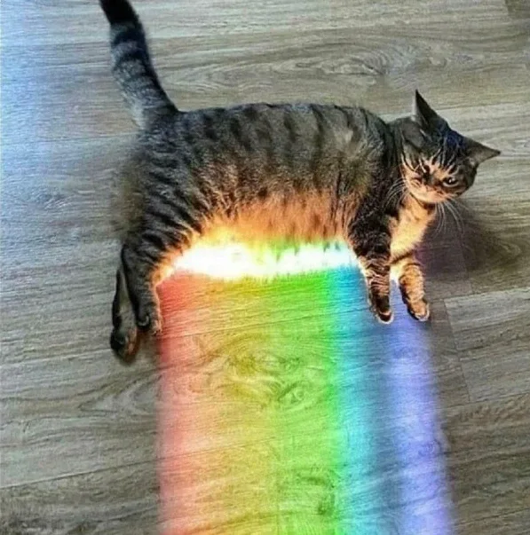 후추