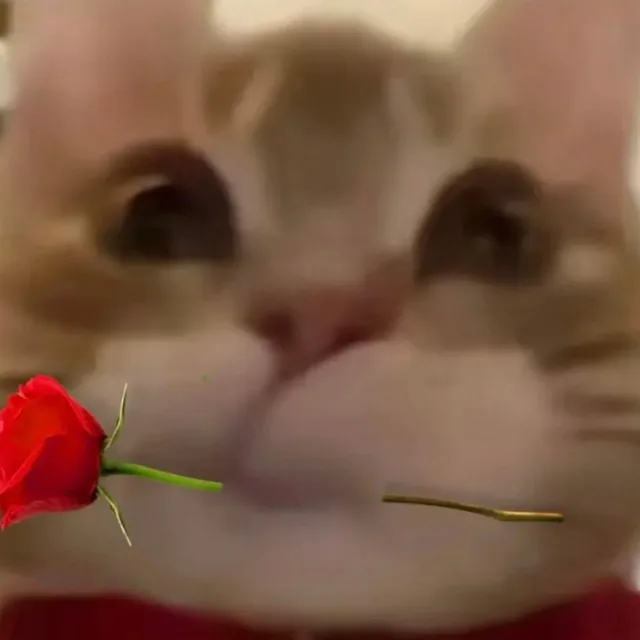 딩기딩기