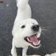 비누엄마