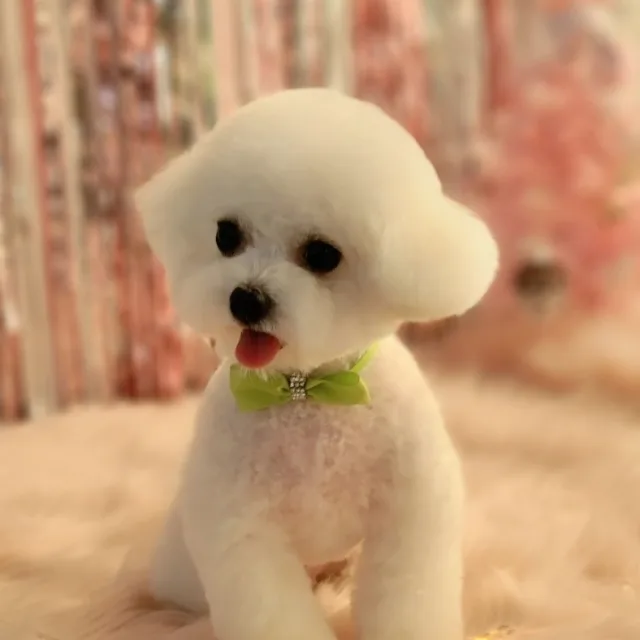 코발트블루