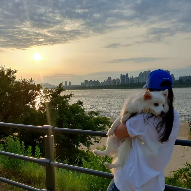 오서진
