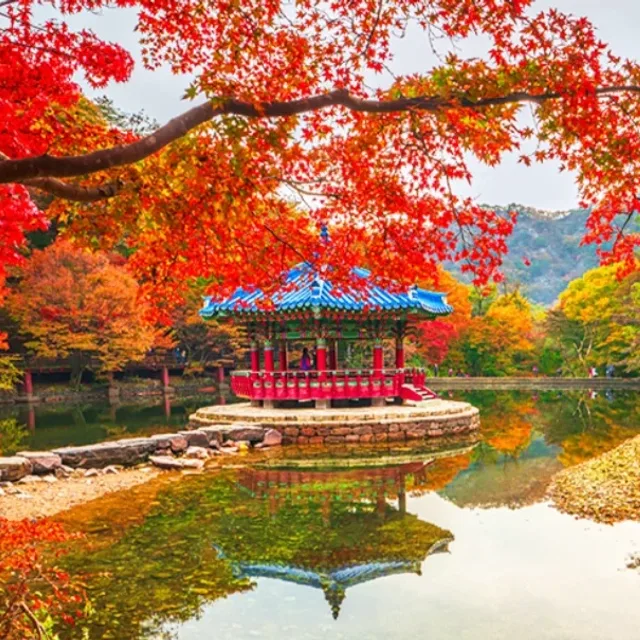 기본매너