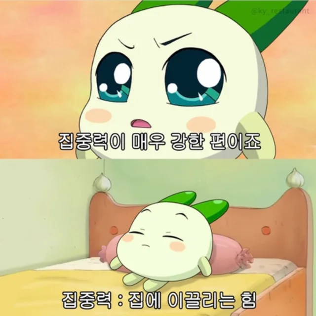 동구리
