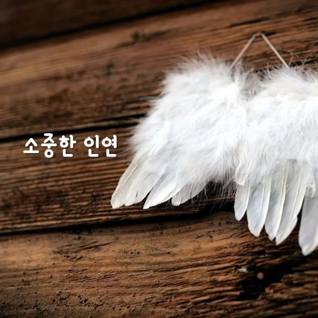 상호존중