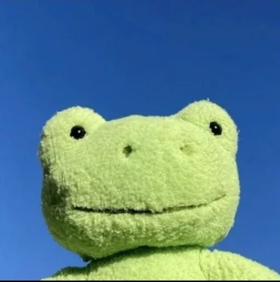 자몽