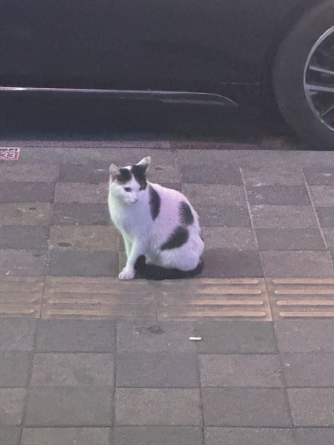 0oo오0오o00