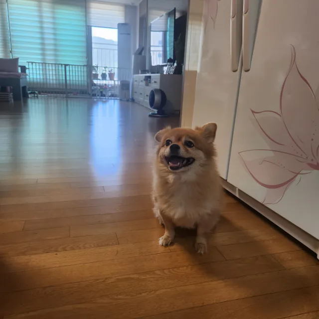 짱콩