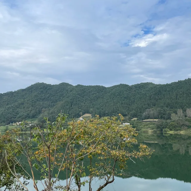 당구니조아