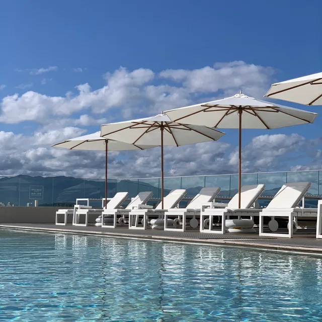 고수미토수미