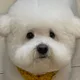 노노