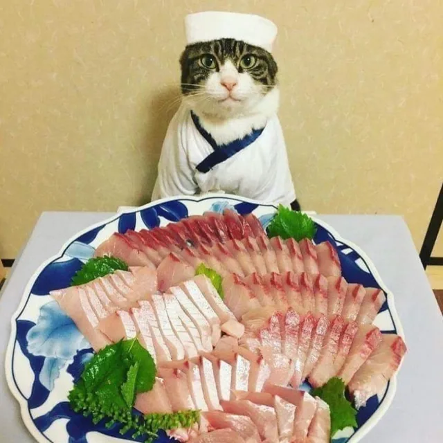 떡국송편냠