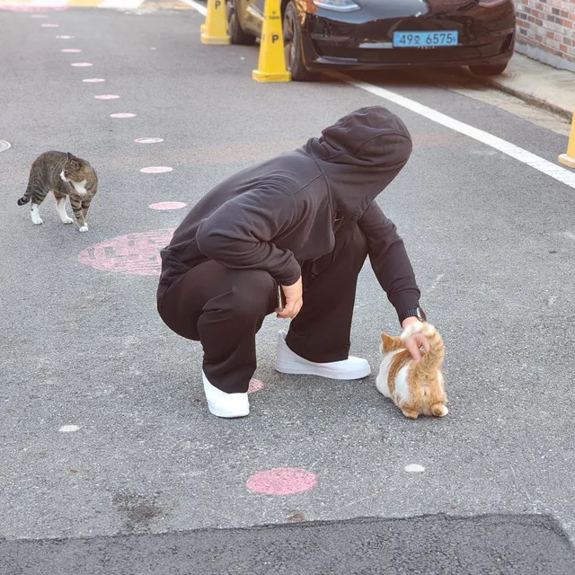 찰진놈