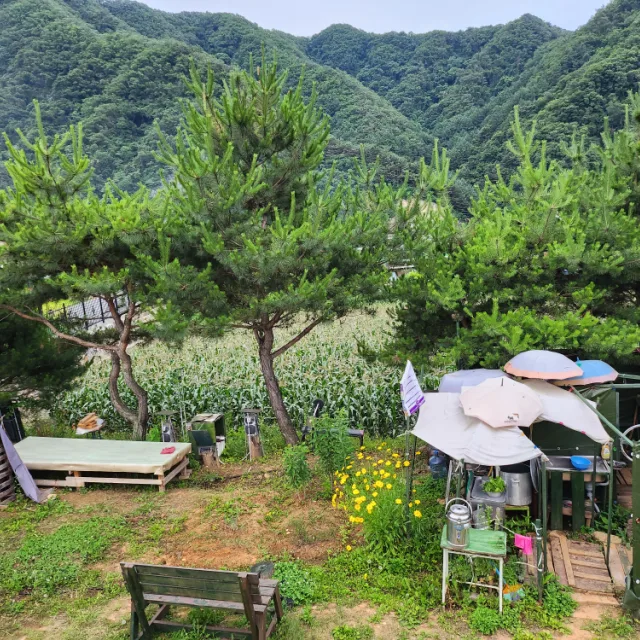 쾌신멘