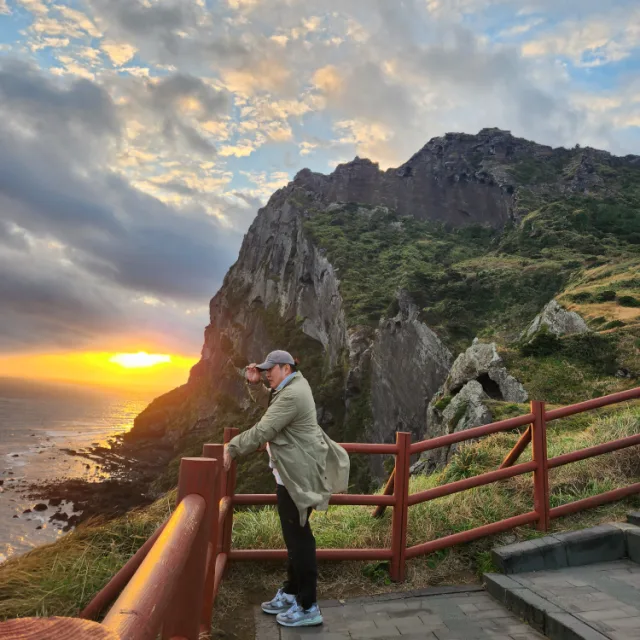 도도