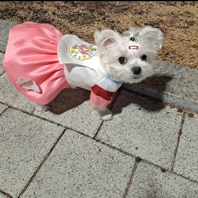 곤듀