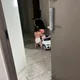 바니바니