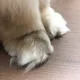 꼬르륵