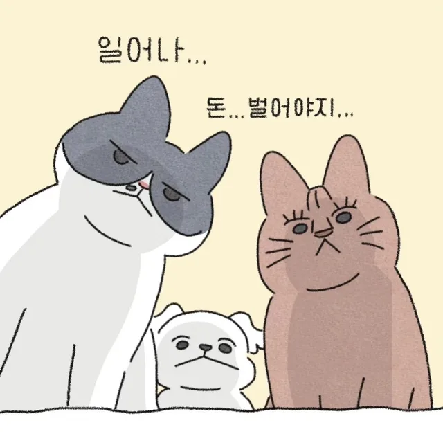 밍꾸밍꾸